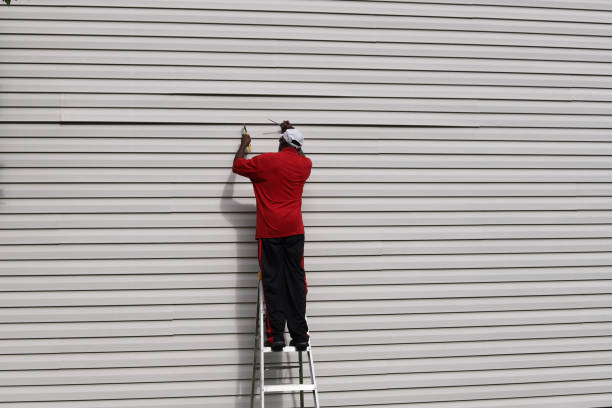 Best Vinyl Siding Installation  in Antlers, OK
