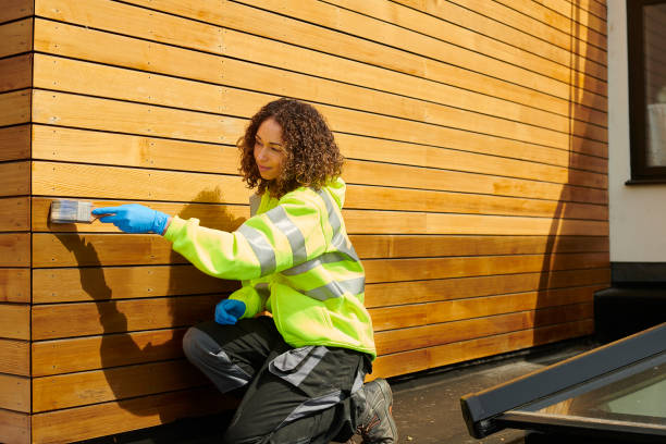 Best Vinyl Siding Installation  in Antlers, OK