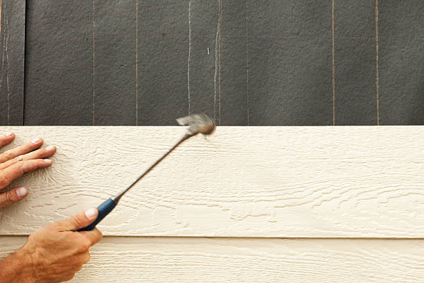 Best Insulated Siding Installation  in Antlers, OK